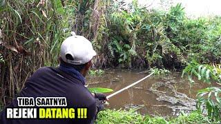 Sepak terjang predator rawa melawan joran si pemancing tegek #SG-287