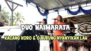 KACANG KORO & INI RINDU (O Burung Nyanyikan Lah) - DUO NAIMARATA (Live di Pesta Batak)
