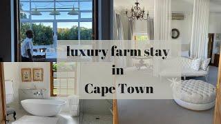 Avontuur Estate: a luxury thoroughbred farm stay in Cape Town