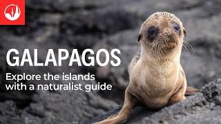 Experience the Galapagos Islands with Intrepid Travel