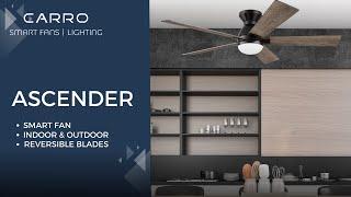 ASCENDER 5-blade 52” Smart Ceiling Fan | Carro USA