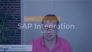 Learning SAP Integration