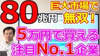 80兆円巨大市場で無双！5万円で買えるNo.1企業が凄い決算発表 本社に突撃してきた