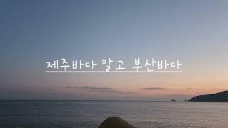 부산!  겨울,부산바다 어때?  //