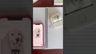 Do you keep a Journal?