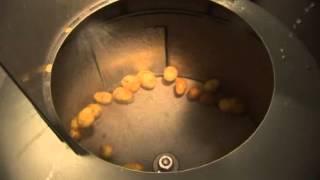 Potato peeling