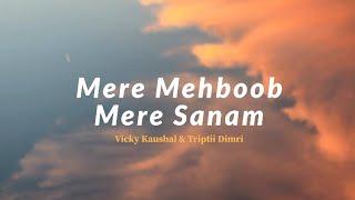 Mere Mehboob Mere Sanam _ Vicky Kaushal & Triptii Dimri [Lyrics] |badnews| |Lyric Loom #hindisong