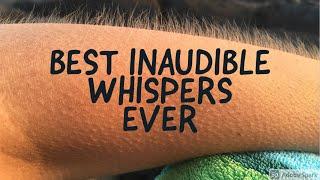 5+ HOURS!! Of The BEST Inaudible/Unintelligible Whispers Of 2025 - ASMR Chess and Risk Gameplay 