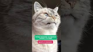Есть такое? Пишите в комментариях  #здоровье #юмор #доктор #клиника #прикол