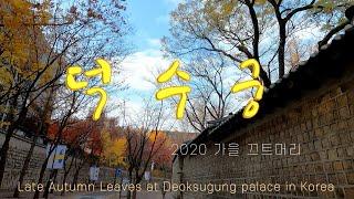 덕수궁 가을 끄트머리 - 만추의 아쉬움을 조용한 산책으로 달래 봅니다. Let's just feel it! Late autumn leaves at Deoksugung Palace