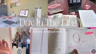 Day In The Life |Dental Hygiene Student| studying for 2hrs, orofacial anatomy, lecture 1 assignment