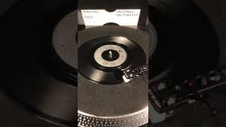 Michael Sembello - Maniac ( Vinyl 45 ) From 1983 .