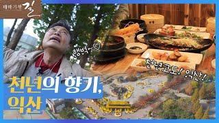 가을에 떠난 천년고도의 익산여행! | 테마기행 길 | 전주MBC | 익산 여행 | 맛집투어 | 전주MBC 211113 방송