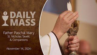 Catholic Daily Mass - Daily TV Mass - November 14, 2024