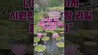 시골 할머니댁에서 생긴 일