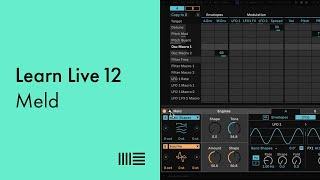 Learn Live 12: Meld