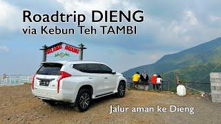 ROAD TRIP DIENG via Kebun Teh Tambi | Part 1: Candi Arjuna