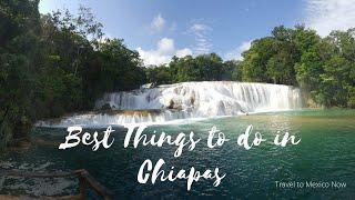 Best Things to do in Chiapas