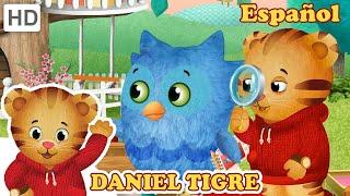 Daniel Tigre en Español  Los Mejores Episodios de O el Búho - Pt. 2  Videos para niños