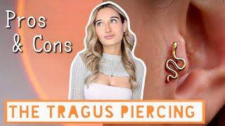 Tragus piercings pros and cons I Tragus Piercing Aftercare, pain level, advice, etc