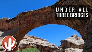 Hike to All Three Bridges | Natural Bridges National Monument | Lake Powell, UT