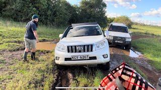4 recoveries in 2 hours!! | Nairobi National Park 2023 | Our Kenyan Diaries