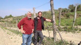 Giorgio Clai and Rise of Istrian Wine