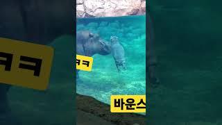 #쇼츠 #신기한영상 #신기한동영상
