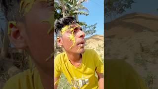 কামডা কি করছে ।#funny #tanding #comedy #foryou #funnyvideos #newfunny #viralshorts