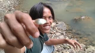 Fish in a small clear river || mancing ikan di sungai kecil yang jernih