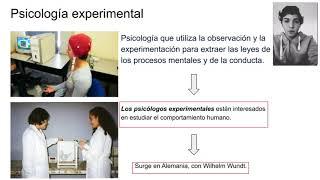 Introducción a la psicología   Psicología Experimental I