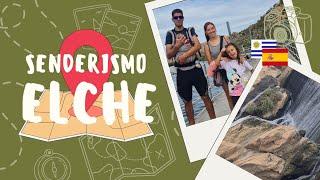 Explorando el misterioso pantano de Elche #españa #uruguay #senderismo