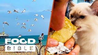 Cats, Dogs and Crocodiles Won't Share Food | FOODbible