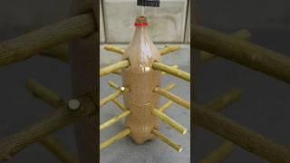 Great Technique Propagate Lemon Tree From Cuttings with Coca Cola bottle #shorts