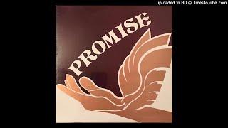 Promise - Never Gonna Give (USA 1981)