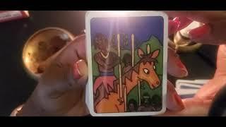 Quick Flip: African Tarot by Marina Romito