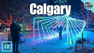  Walking Tour of Calgary ZooLights (Christmas Decorations!)