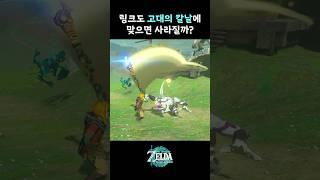 링크가 고대의 칼날에 맞으면 어떻게 될까? (젤다 왕눈 플레이)