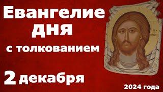 Евангелие дня с толкованием  2 декабря  2024 года