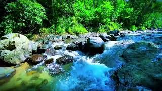Beautiful River Sounds, Relaxing music for sleep, study & relaxation, calming music, Waterfall Noise