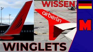 Winglets - was ist das und wozu braucht man sie? - Wissen kompakt