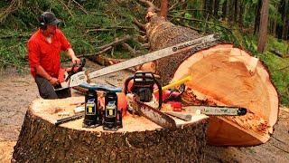 Woodworking Factory | Extreme Wood Cutting Sawmill