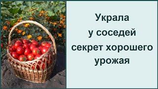 Мощное удобрение для сада и огорода // что рекомендую купить
