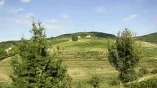 Like Father, Like Daughters l Wine Spectator