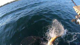 Heartbreak (Lost 30” Brown Trout) @ Glenmore Reservoir Fishing- Calgary, Alberta (Crazy Pike Day)