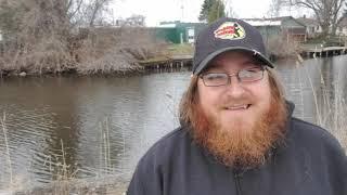 Perch Fishing The Tawas River