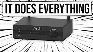 Crazy $99 Preamp Does it All! Arylic BP50 Review