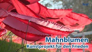 Mahnblumen - Kunstprojekt für den Frieden