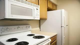 1 Bedroom Apartment for Rent in San Antonio, TX