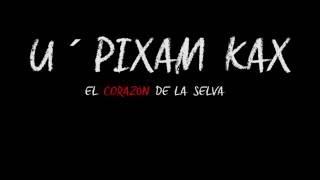 TRAILER U´ PIXAM KAX. ANASTASIA SONARANDA. NATURA MEXICANA Y COOPERATIVA HIBRYTS.